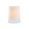 Melrose 3" Flameless LED Lighted Candle with USB